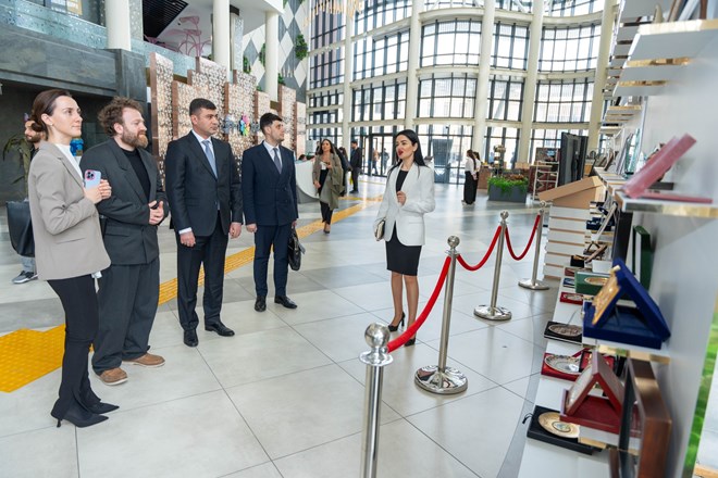 Состоялась встреча между «Центром Инноваций» и Агентством инноваций и технологий Грузии